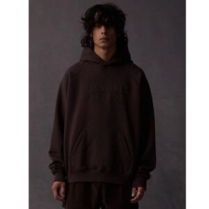 ESSENTIALS Fear of God PLUM Hoodie Limited Edition Oversized Pullover Large NWT